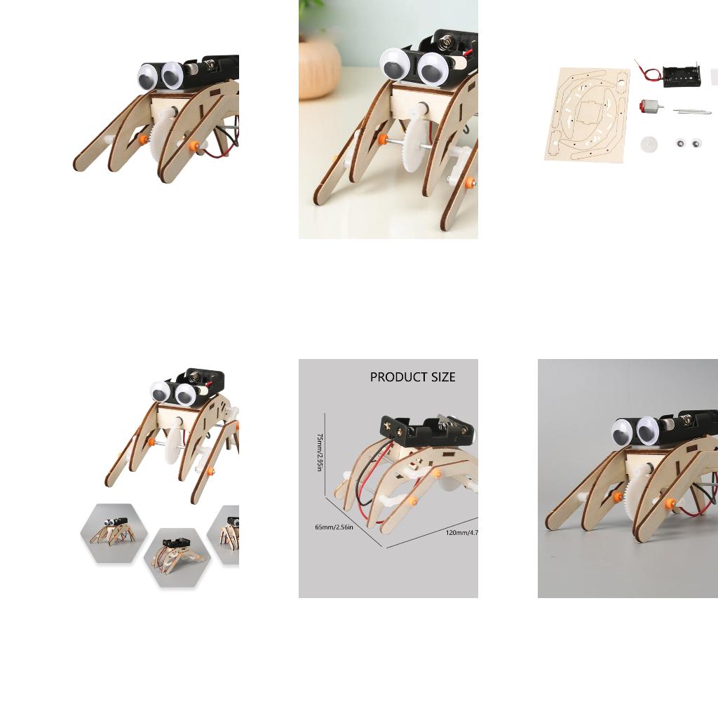 Science Project Physics - Projet d'expérimentation physique des insectes mécaniques,