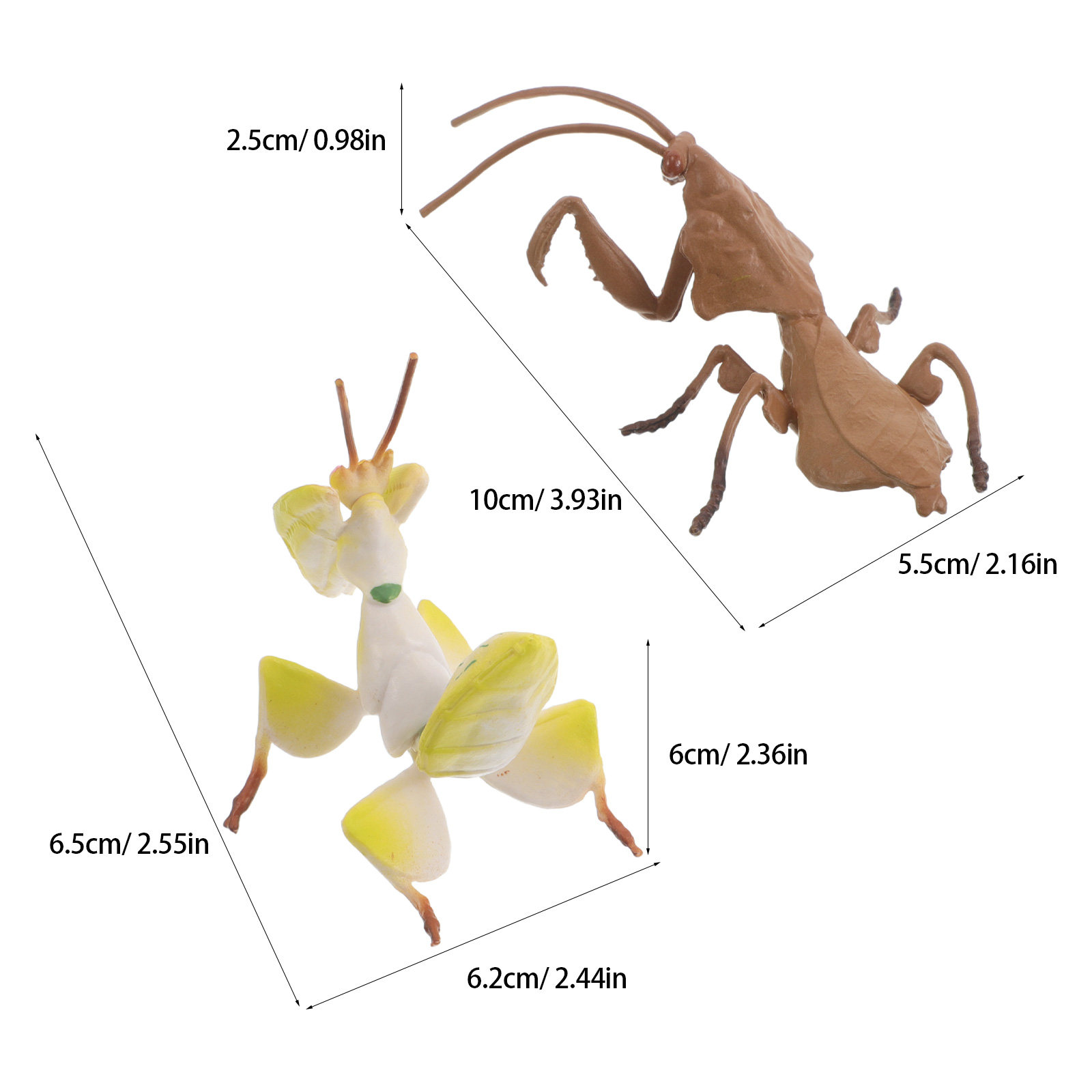2 pièces : figurines réalistes - Science Project avis et prix